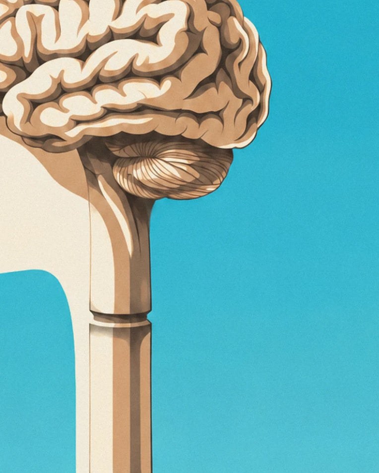 Human brain anatomical chart in profile poster: close-up detail