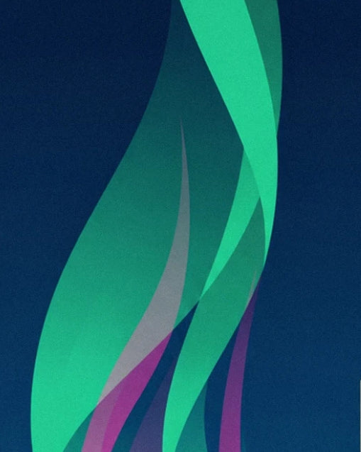 The long green and purple ribbons of the northern lights against the blue of space