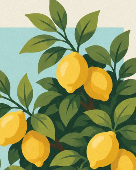 Les citrons jaunes bien mûrs parmi les feuilles vert foncé, devant un coin de ciel bleu
