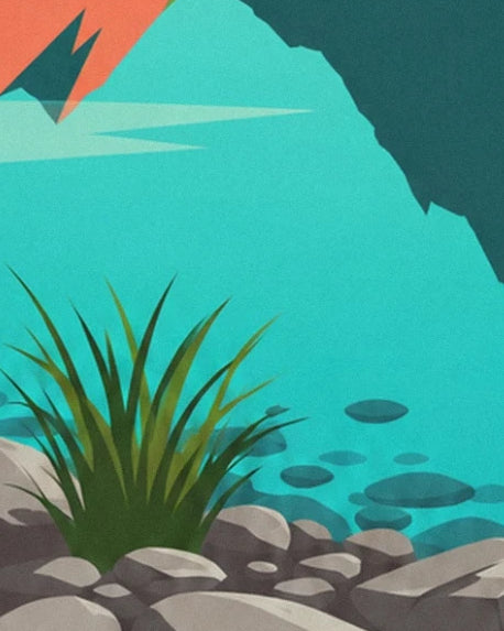 A tuft of grass between grey rocks beside the turquoise water