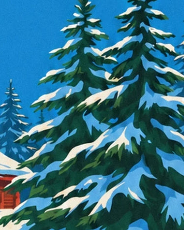 The dark green fir trees with snow-laden branches beneath the blue sky
