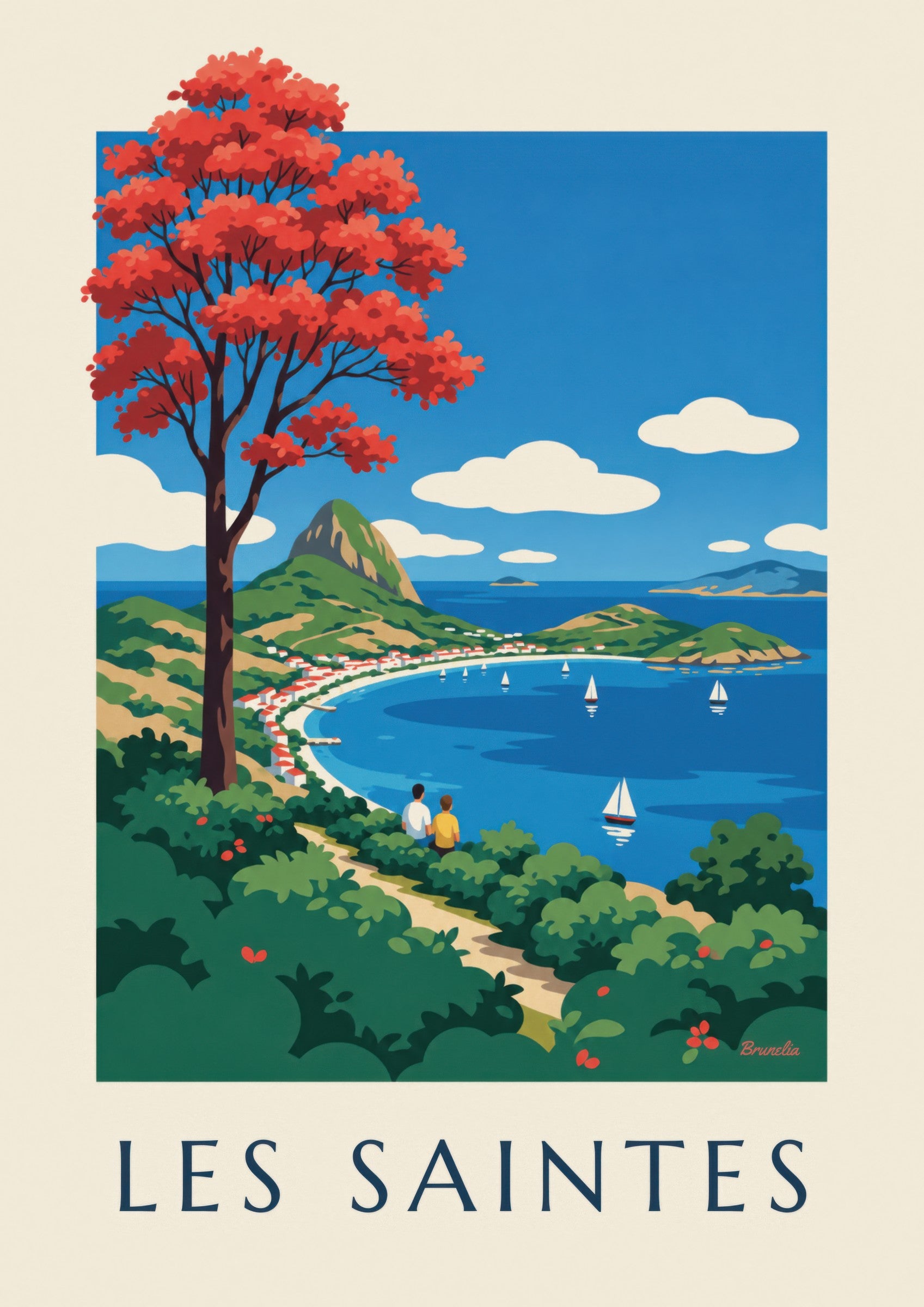 Guadeloupe Les Saintes bay Terre-de-Haut poster: close-up detail