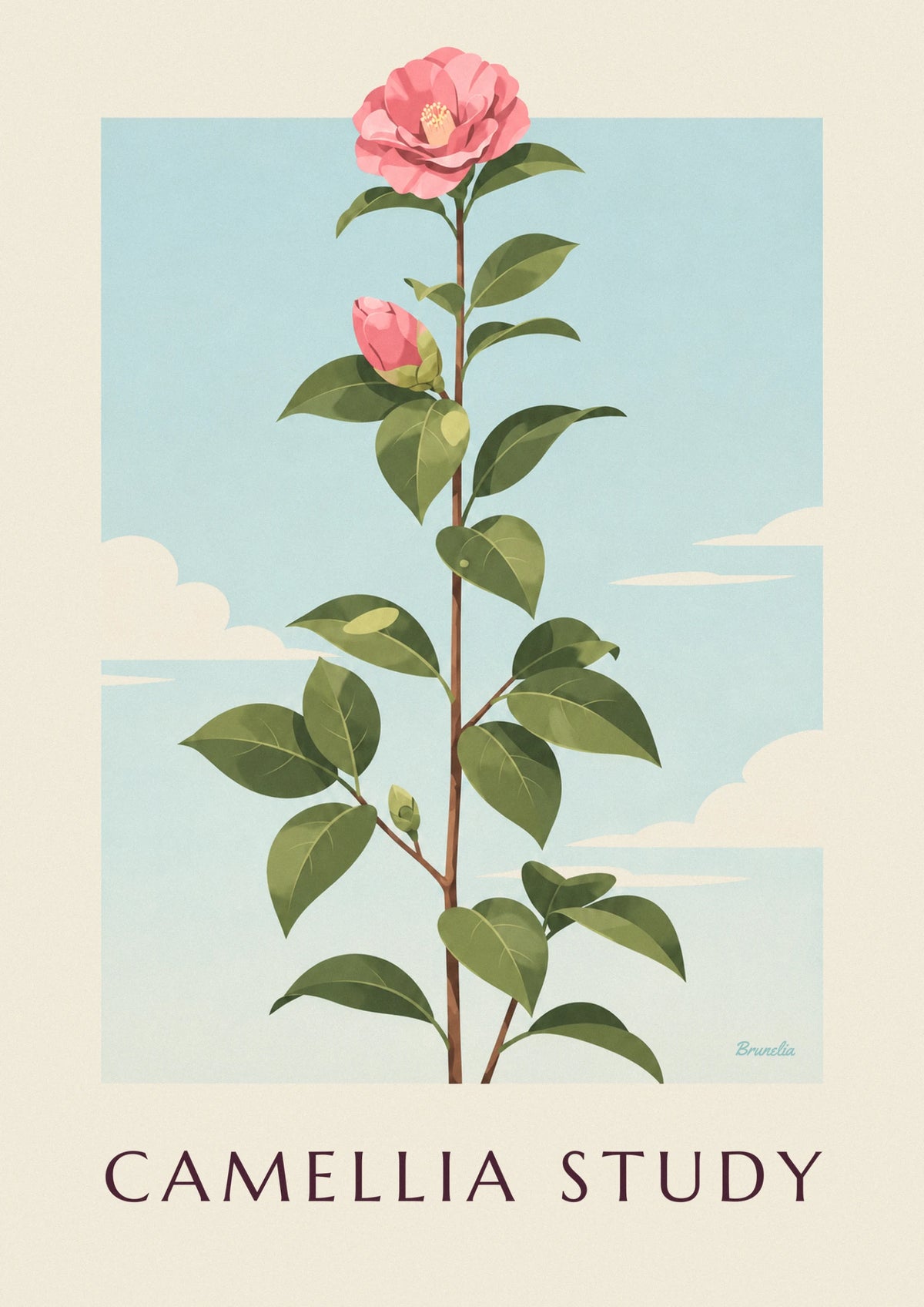 Pink camellia in bloom botanical plate poster