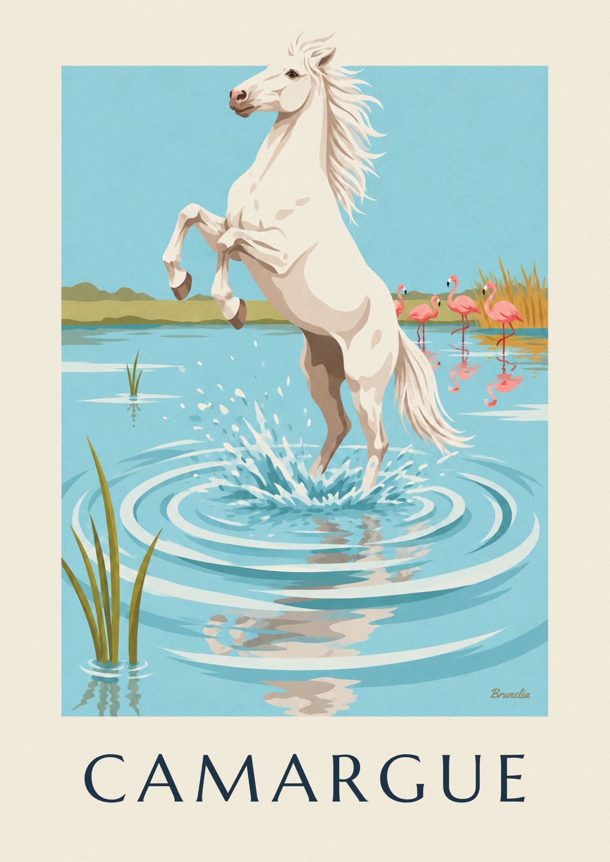 Affiche cheval blanc galopant dans l'eau en Camargue