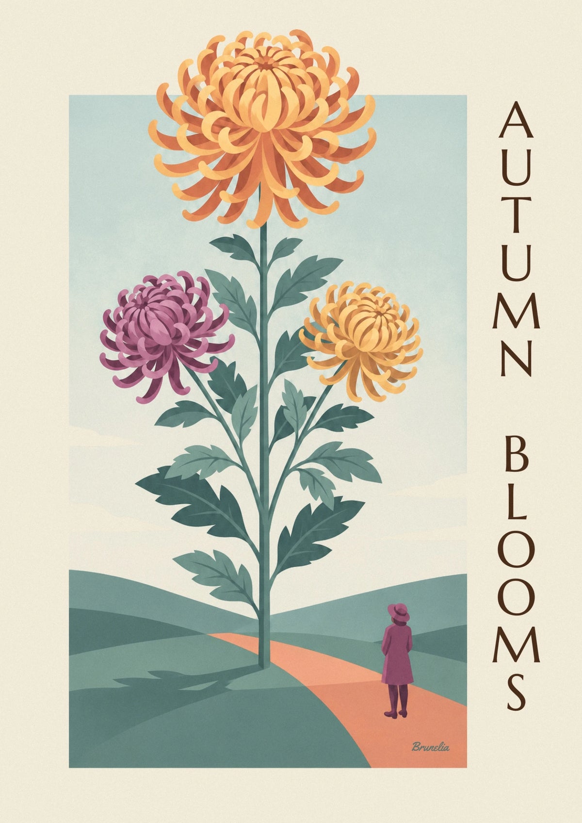 Affiche planche botanique de chrysanthèmes aux fleurs pleines