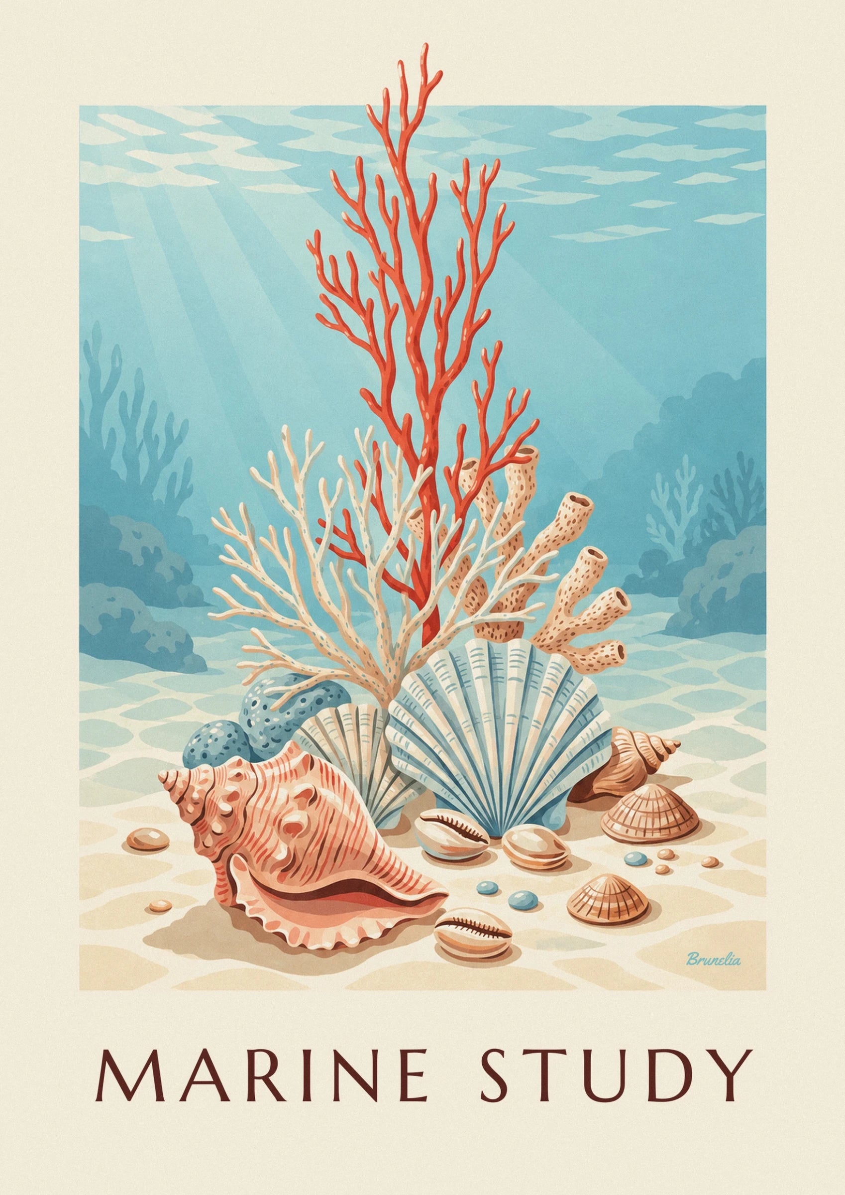 A pink-orange seashell with ridged contours in front of a fan-shaped shell