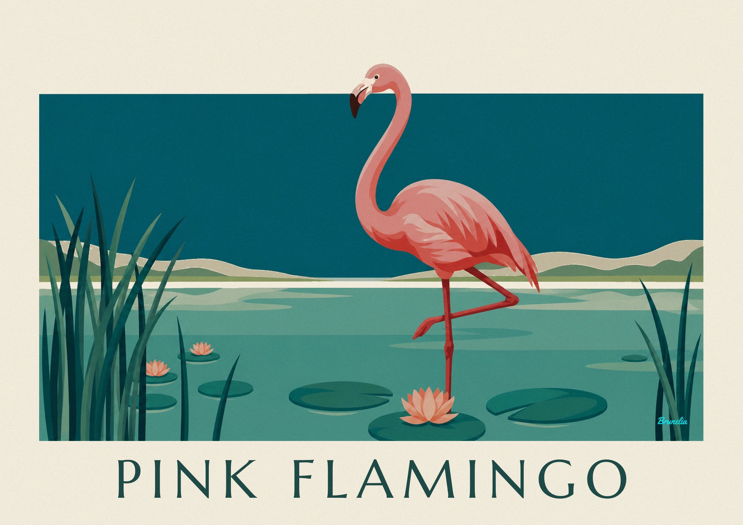 Le flamant rose sur une patte, plumage corail et long cou courbé, les pieds dans l'eau turquoise