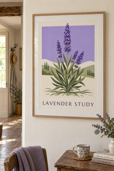 Botanical plate poster of lavender in bloom with roots: framed on the wall