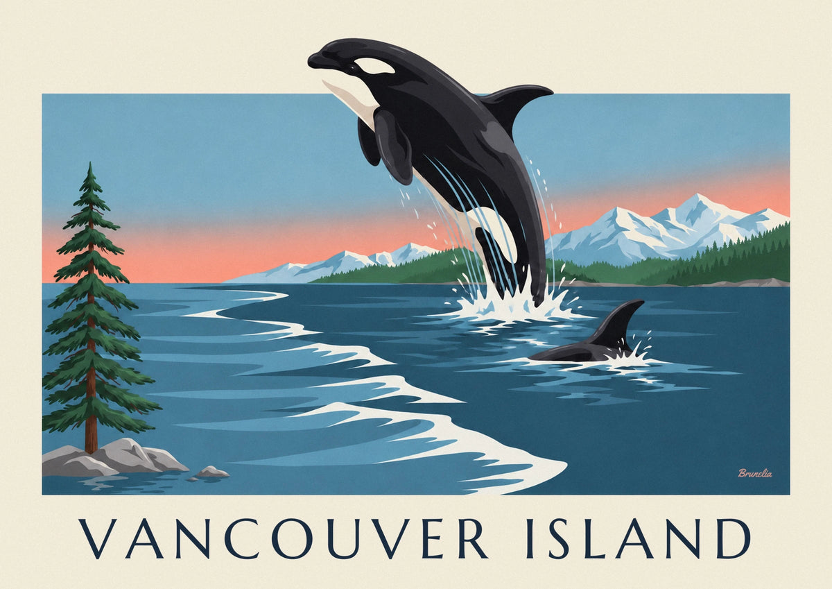 Affiche orque et montagnes de l'île de Vancouver au Canada