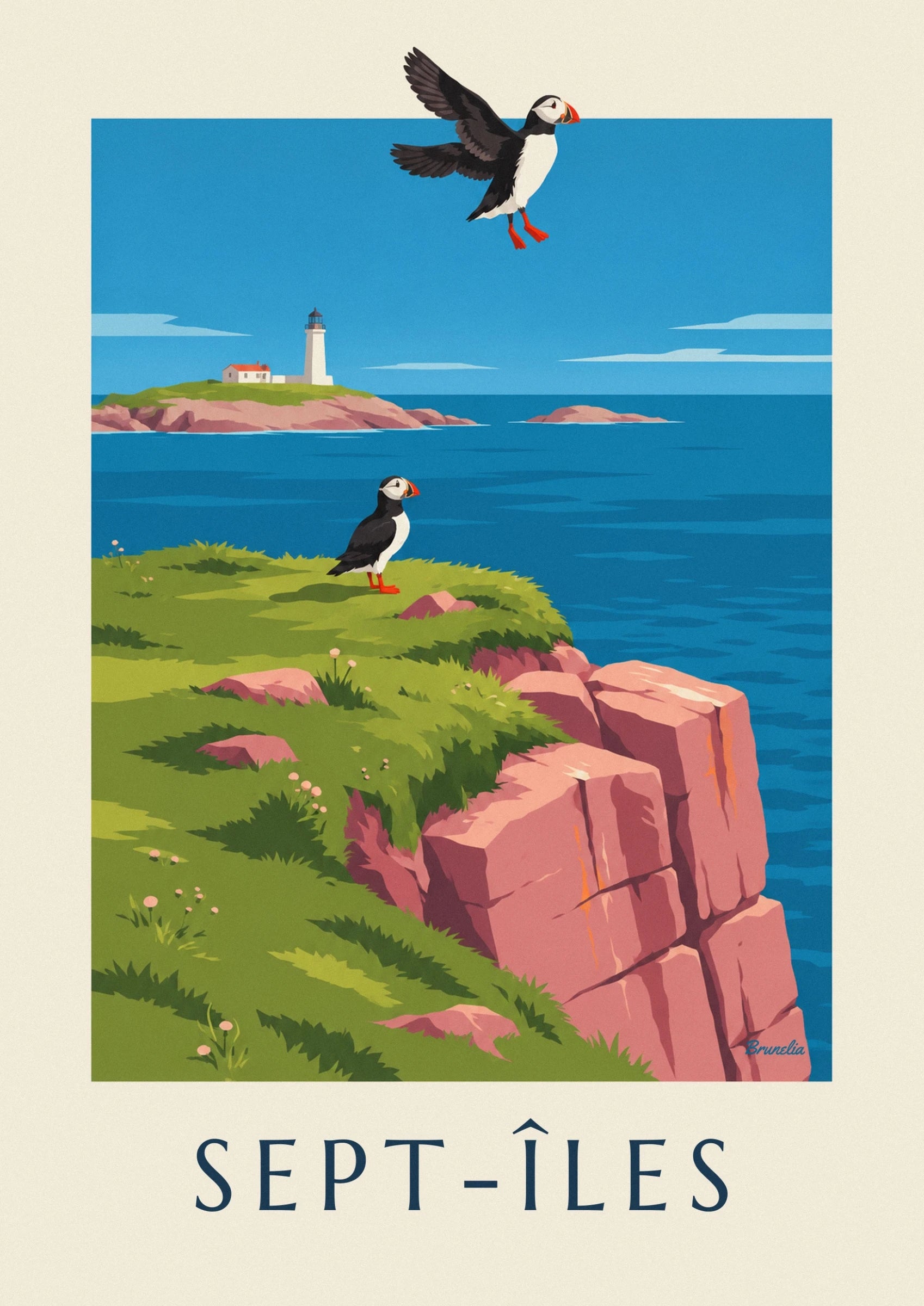 A puffin with an orange beak and red feet on the grass facing the blue sea